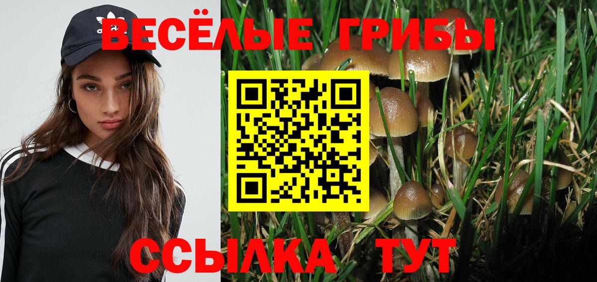 Псилоцибиновые грибы Psilocybe Борисоглебск