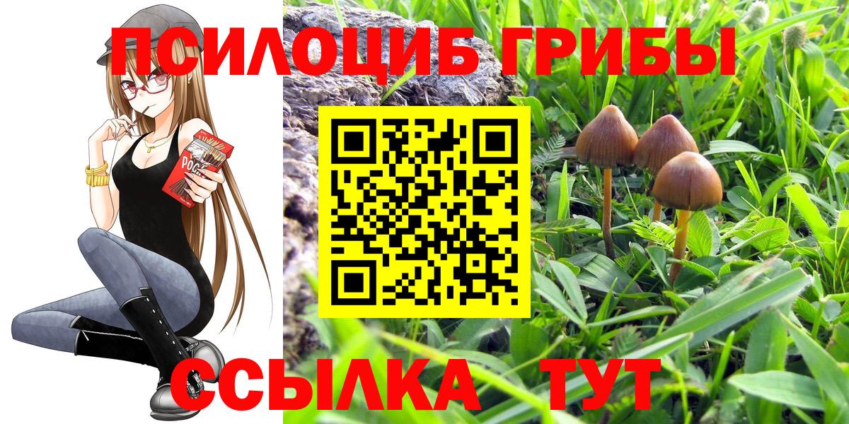 Борисоглебск  Псилоцибиновые грибы мухоморы  наркошоп  Вход с VPN 